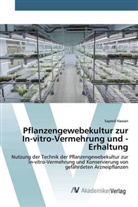 Sayeed Hassan - Pflanzengewebekultur zur In-vitro-Vermehrung und -Erhaltung