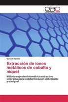 Ganesh Kamble - Extracción de iones metálicos de cobalto y níquel
