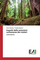 Kingsley Igbokwe, Victo Okparaku, Victor Okparaku - Impatti delle emissioni carbonacee dei motori