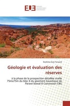 Ibrahima Sory Yansané - Géologie et évaluation des réserves