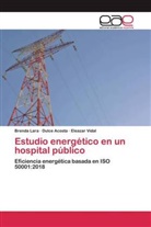 Dulc Acosta, Dulce Acosta, Brend Lara, Brenda Lara, Eleazar Vidal - Estudio energético en un hospital público