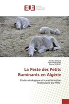 Ratib BAAZIZI, Ratiba BAAZIZI, Djamel Khelef, Nor MIMOUNE, Nora Mimoune - La Peste des Petits Ruminants en Algérie