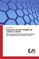 Ganesh Kamble - Estrazione di ioni metallici di cobalto e nichel