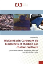 Jochen Michels - BioKernSprit: Combustible issu de déchets, de bois et de charbon