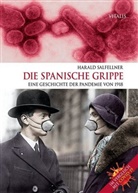 Harald Salfellner - Die Spanische Grippe