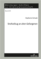 Stephanie Schwab, Klaus Laubenthal - Strafvollzug an alten Gefangenen