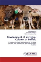 Bhagyalakshmi, J Bhagyalakshmi, J. Bhagyalakshmi, Chandrasekha, T. S. Chandrasekhara Rao, Jagapathi Ramayya... - Development of Vertebral Column of Buffalo