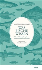 Jonathan Balcombe - Was Fische wissen