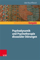 Udo Rauchfleisch, Fran Resch, Franz Resch, Seiffge-Krenke, Seiffge-Krenke, Inge Seiffge-Krenke - Psychodynamik und Psychotherapie dissozialer Störungen