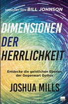 Joshua Mills - Dimensionen der Herrlichkeit