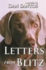 Dan Santos - Letters from Blitz
