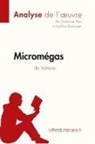 Apolline Boulang, Apolline Boulanger, Apollin Boulanger, Apolline Boulanger, Guillaume Peris, lePetitLittér... - Micromégas de Voltaire (Analyse de l'oeuvre)