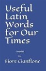 Fiore L. Cianflone - Useful Latin Words for Our Times