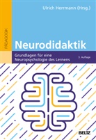 Ulric Herrmann, Ulrich Herrmann - Neurodidaktik