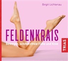 Birgit Lichtenau, Bettina von Websky, Bettina von Websky - Feldenkrais - bewegte, schmerzfreie Füße und Knie (Hörbuch), 1 Audio-CD (Audio book)