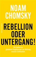 Noam Chomsky - Rebellion oder Untergang!