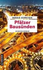 Harald Schneider - Pfälzer Bausünden