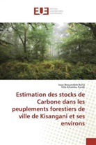 Isaa Bosuandole Bolila, Isaac Bosuandole Bolila, Félix Kihambu Fundji - Estimation des stocks de Carbone dans les peuplements forestiers de ville de Kisangani et ses environs