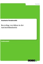Anastasios Paraskevaidis - Recycling von Akkus in der Automobilindustrie