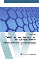 Ganesh Kamble - Extraktion von Kobalt- und Nickel-Metallionen
