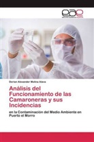 Derian Alexander Molina Alava - Análisis del Funcionamiento de las Camaroneras y sus Incidencias
