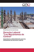 Ronald Eduardo Carranza Escobar - Derecho Laboral "Los Mecanismos de Control"