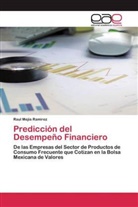 Raul Mejia Ramirez - Predicción del Desempeño Financiero