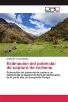 Anderson Tacarpo Antivo - Estimación del potencial de captura de carbono
