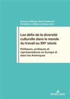 Christèl Le Bihan, Christèle Le Bihan, Arian Le Moing, Ariane Le Moing, Saï Ouaked, Saïd Ouaked... - Les défis de la diversité culturelle dans le monde du travail au XXIe siècle