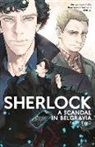 Gatiss, Mark Gatiss, Gatiss Moffat, Moffat, Steven Moffat, Jay... - Sherlock: A Scandal in Belgravia Part 2