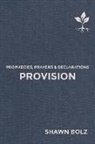 Shawn Bolz - Provision