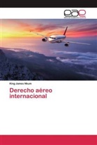 King James Nkum - Derecho aéreo internacional