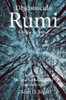Nevit O. Ergin - Desconocido Rumi: Selección de Rubaís de Maulana Jalaluddin Rumi y Comentarios por Nevit O. Ergin
