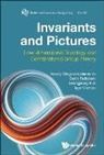 Denis Fedoseev, Denis Fedoseev, Seongjeong Kim, Vassily Olegovich Manturov, Manturov Vassily Olegovich, Igor Nikonov... - Invariants And Pictures: Low-dimensional Topology And Combinatorial Group Theory