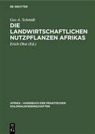 Geo A Schmidt, Geo A. Schmidt, Erich Obst - Die landwirtschaftlichen Nutzpflanzen Afrikas