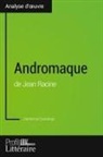 Catherin Castaings, Catherine Castaings, Profil-litteraire fr, Profil-Litteraire. Fr, Karin Vallet, Karine Vallet - Andromaque de Jean Racine (Analyse approfondie)