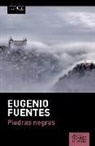 Eugenio Fuentes - Piedras negras