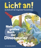 Ute Fuhr, Henri Galeron, Donald Grant, Pierre de Hugo, James Prunier, Raoul Sautai... - Mein großes Buch der Dinosaurier