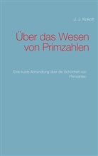 J J Kokott, J. J. Kokott - Über das Wesen von Primzahlen