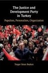 Toygar Sinan Baykan - Justice and Development Party in Turkey