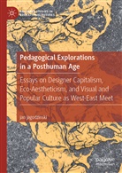 jan jagodzinski - Pedagogical Explorations in a Posthuman Age