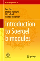 Be Elias, Ben Elias, Shotar Makisumi, Shotaro Makisumi, Ulrich Thiel, Ulrich et al Thiel... - Introduction to Soergel Bimodules