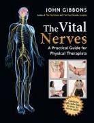 John Gibbons - The Vital Nerves