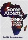Deng Akol Juach - Some Aspects of Dinka Noun System