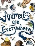 Mike Costa - Animals Are Everywhere: A counting and rhyming, seek and find, picture book for children