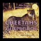 Amelie Von Zumbusch - Cheetahs/Guepardos