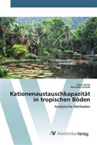 Fabi Aprile, Fabio Aprile, Reinaldo Lorandi - Kationenaustauschkapazität in tropischen Böden