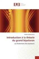 Vladimir Mukhomorov - Introduction à la théorie du grand bipolaron