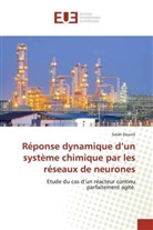 Salah Dounit - Réponse dynamique d'un système chimique par les réseaux de neurones