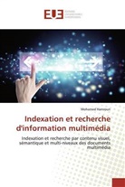 Mohamed Hamroun - Indexation et recherche d'information multimédia